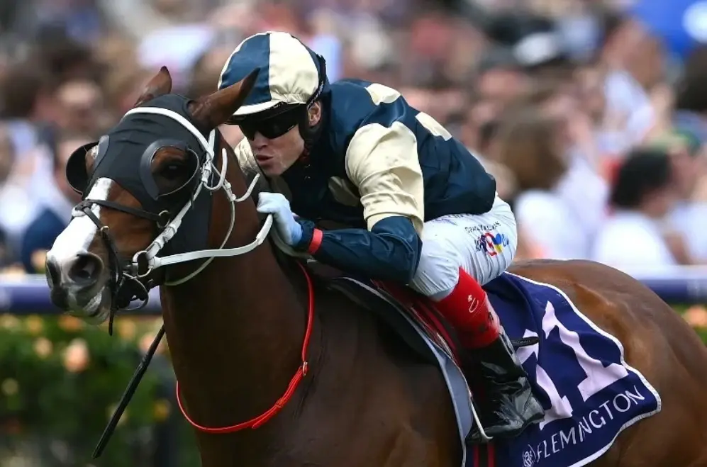 Melbourne Cup Betting