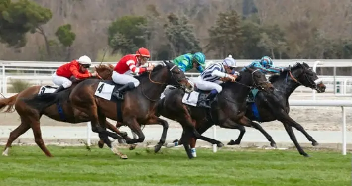 Vodacom Durban July 2024 Betting Guide Ante Post Betting for Durban July